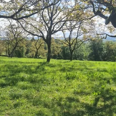 Sous Les Noyers Nyaraló Autoire