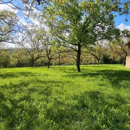 Sous Les Noyers * Autoire